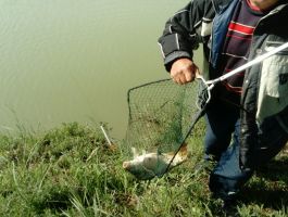 Ribolov i proslava 1. svibnja 2019. godine na jezeru Gemajda Rajić