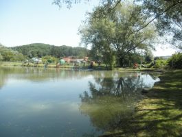 Kup druženje u lovu ribe na jezerima Gradina ŠRUOŠ “Gradina” Šandrovac održan 30. lipnja 2019.
