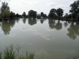 Ribolov na jezeru Ivankovac ŠRD “Štuka” Nova Rača 25. kolovoza 2019. godine