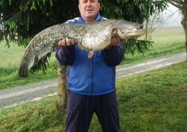 Ulov ribe na jezeru Ivankovac ŠRD “Štuka” Nova Rača Ulov ribe na jezeru Ivankovac ŠRD “Štuka” Nova Rača
