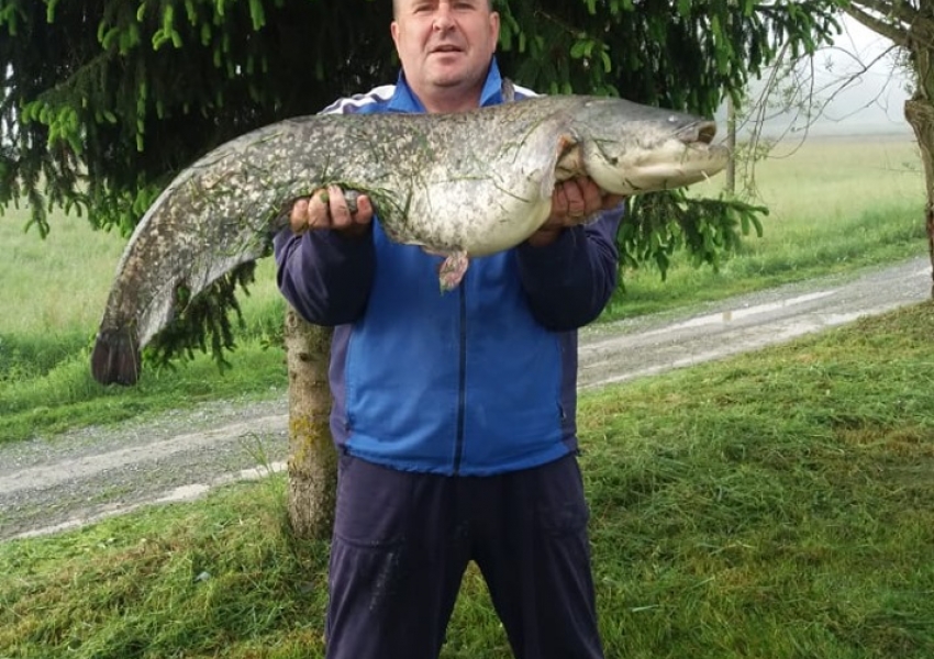 Ulov ribe na jezeru Ivankovac ŠRD “Štuka” Nova Rača