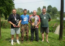 2013. godina