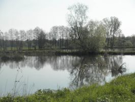 Slike umjetnog jezera