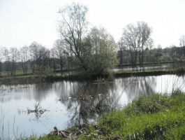 Slike umjetnog jezera