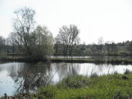 Slike umjetnog jezera